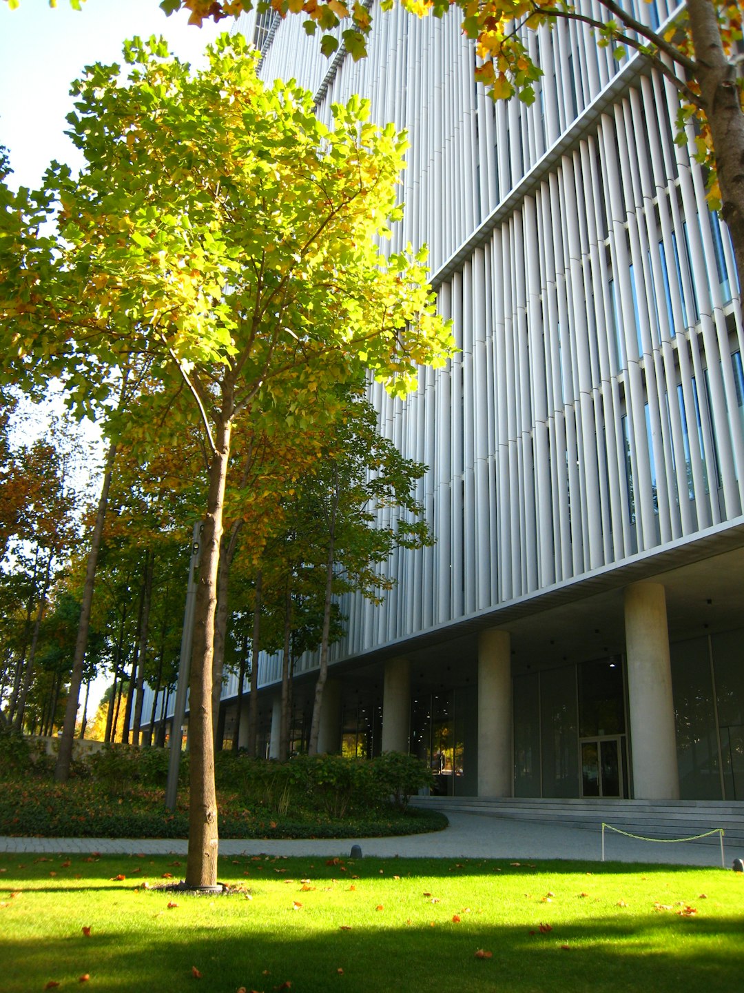 Carbon Neutral Pavilion